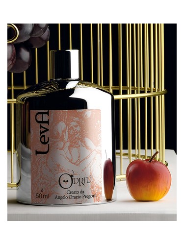 تصویر عطر لیوا او دریو