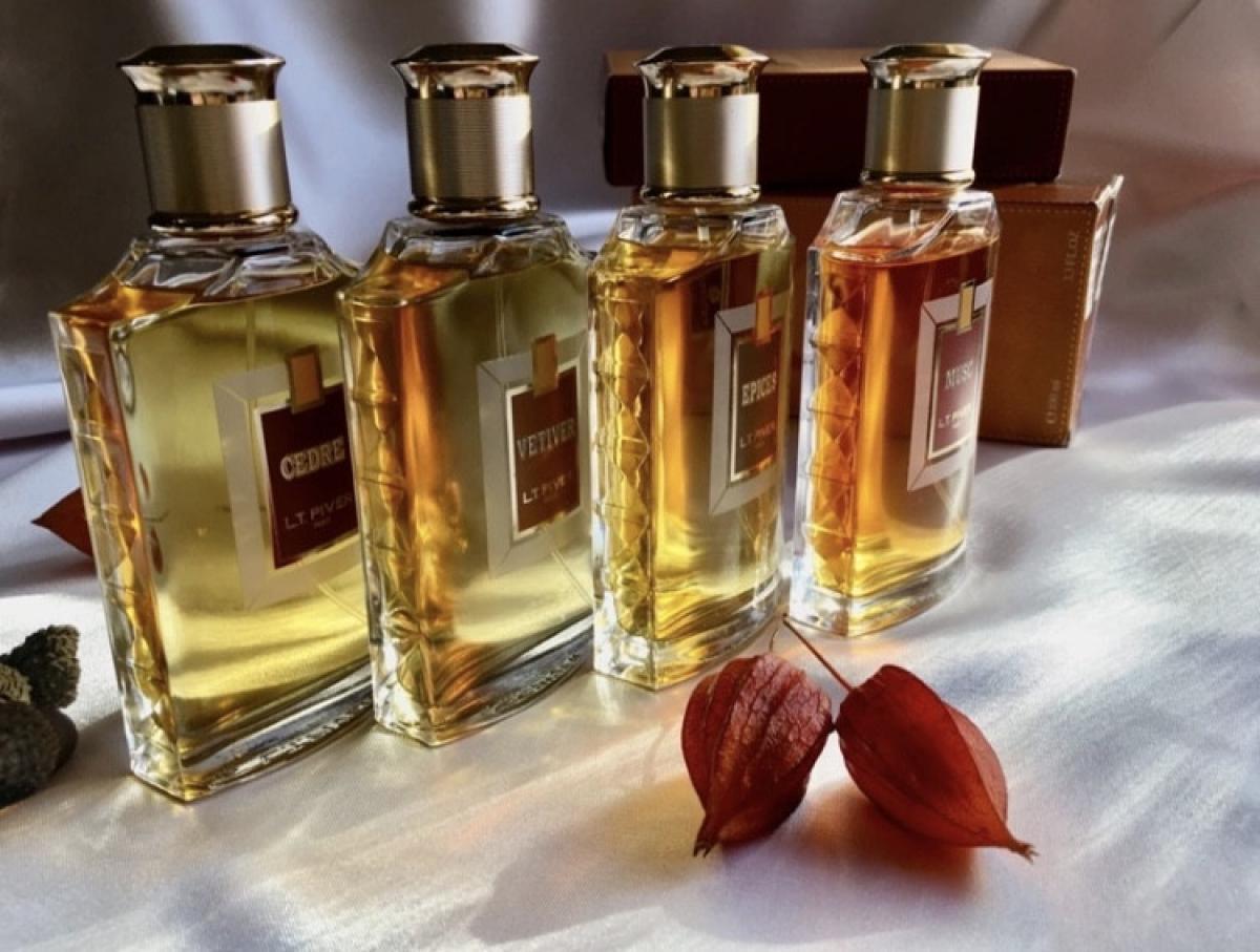 تصویر عطر سدر ال‌تی پیور