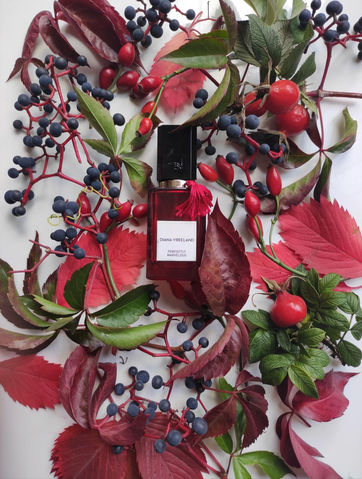 تصویر عطر پرفکتلی مارولوس دایانا وریلِند