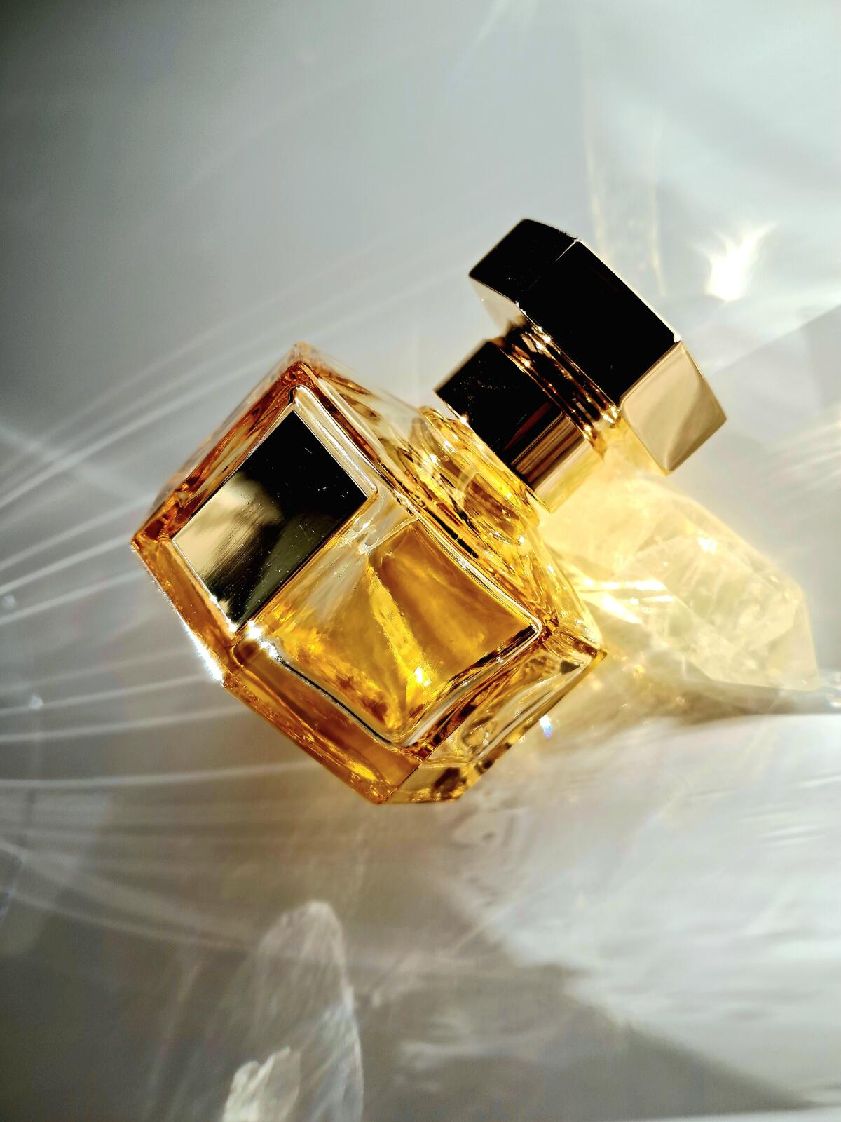 تصویر عطر دلیریا لارتیزان پرفیومر