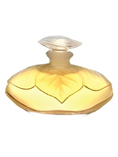 تصویر عطر اِل لانچتی