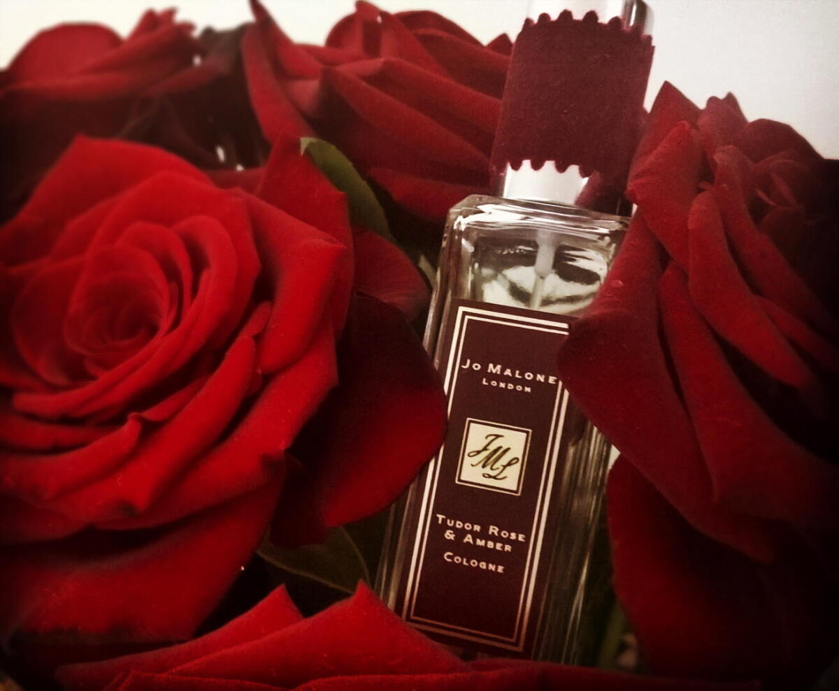تصویر عطر راک دِ اِیجِز تودور رُز اَند اَمبر جو مالون لندن