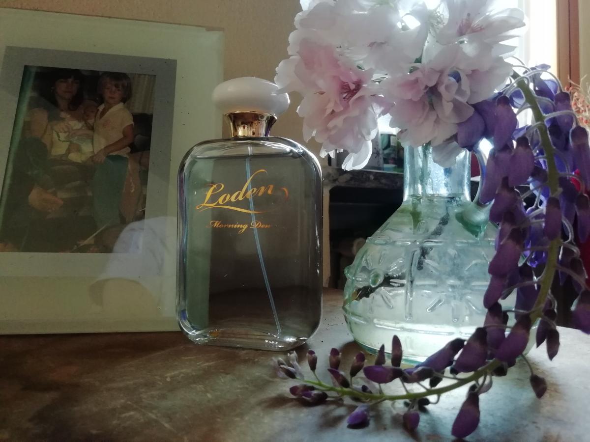 تصویر عطر لودن پکسنیفس