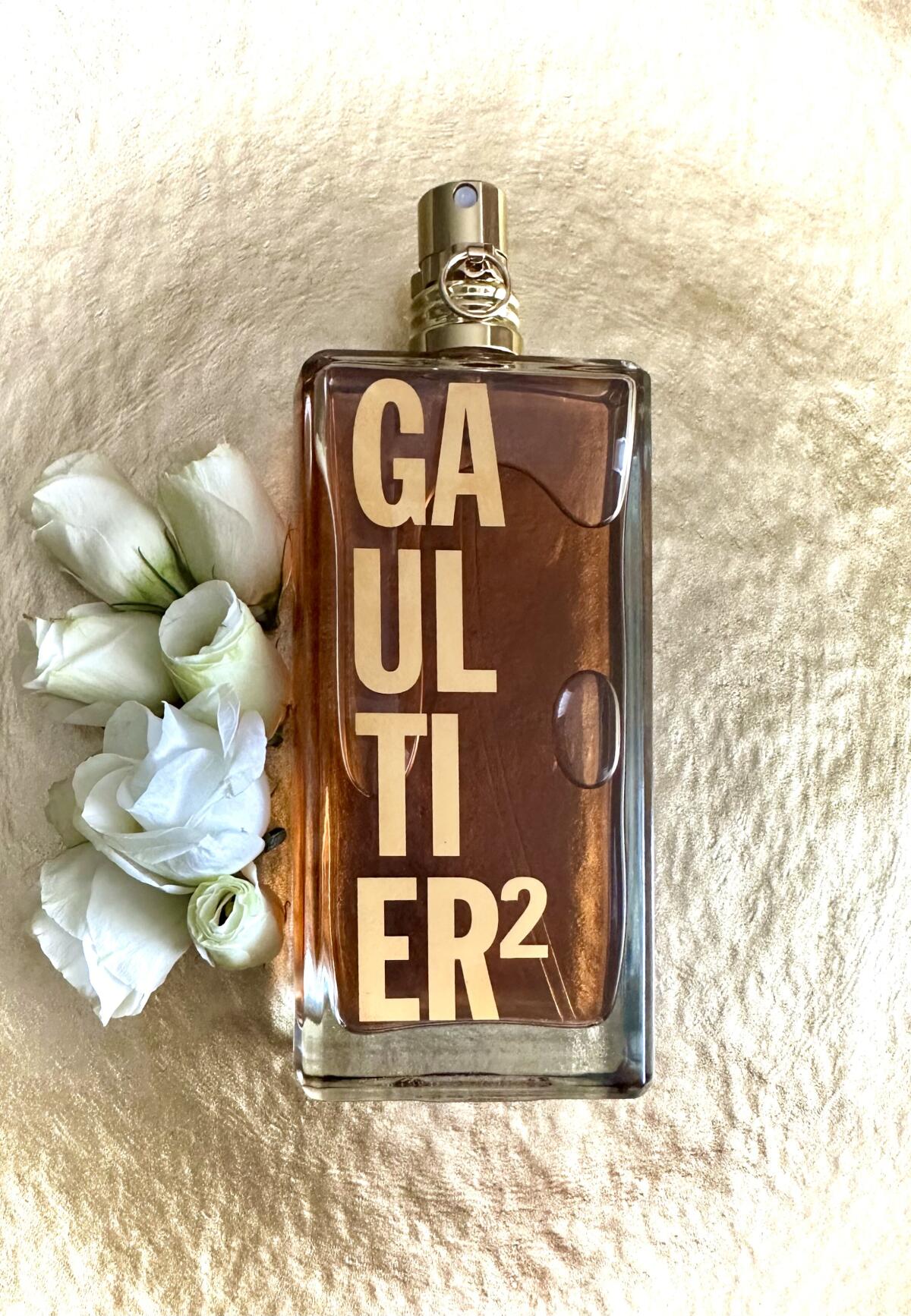 تصویر عطر گولتیه ژان پل گوتیه