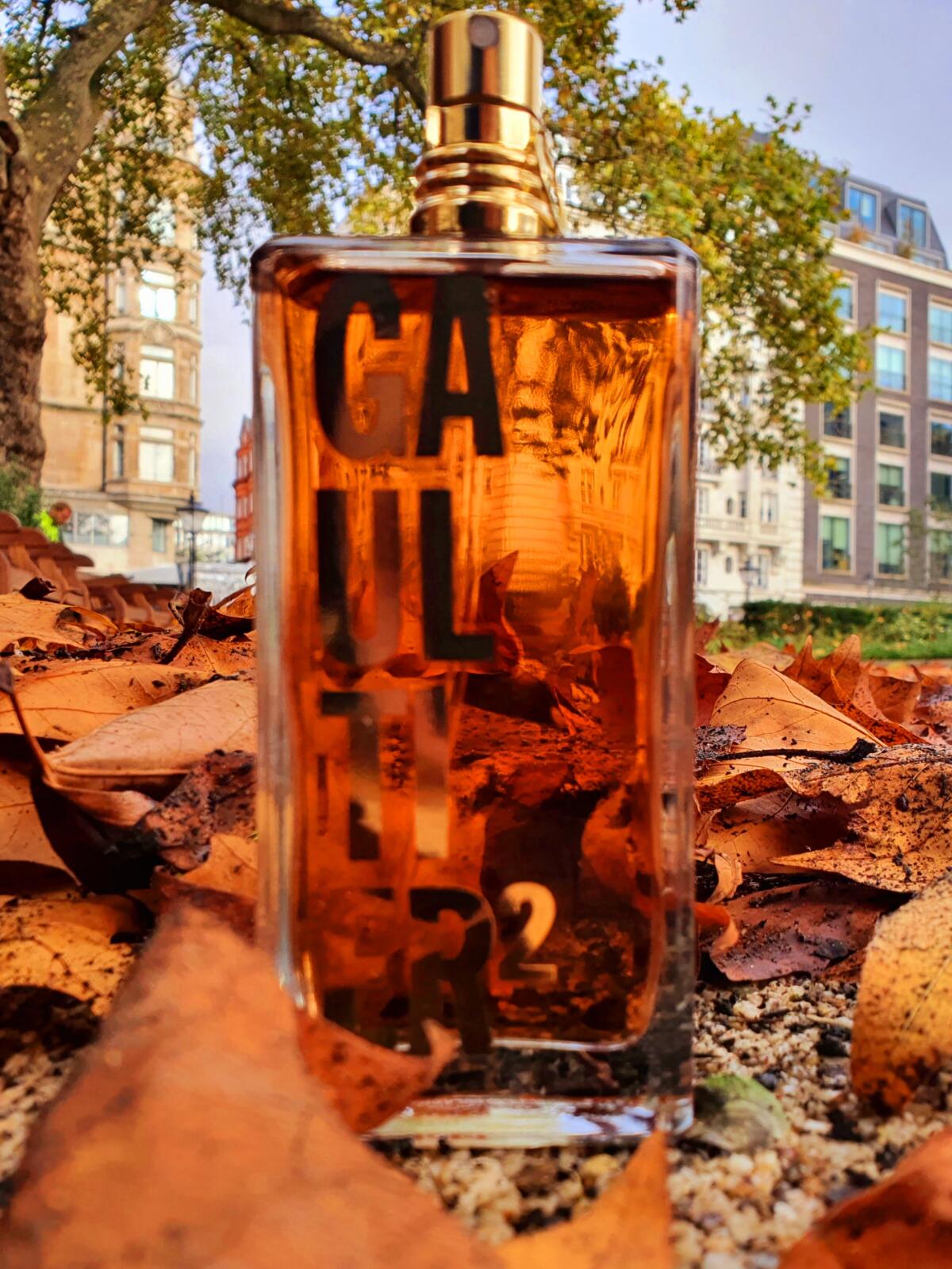 تصویر عطر گولتیه ژان پل گوتیه