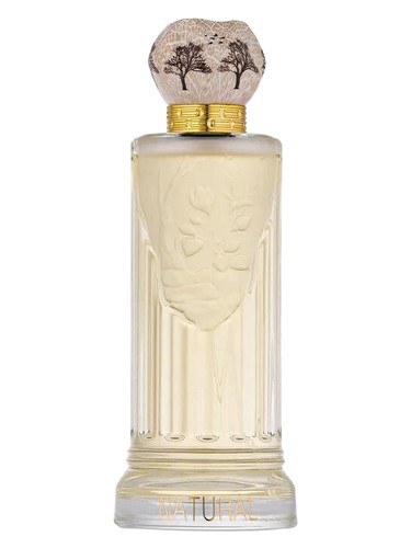 تصویر عطر نچرال اچ ۲ او