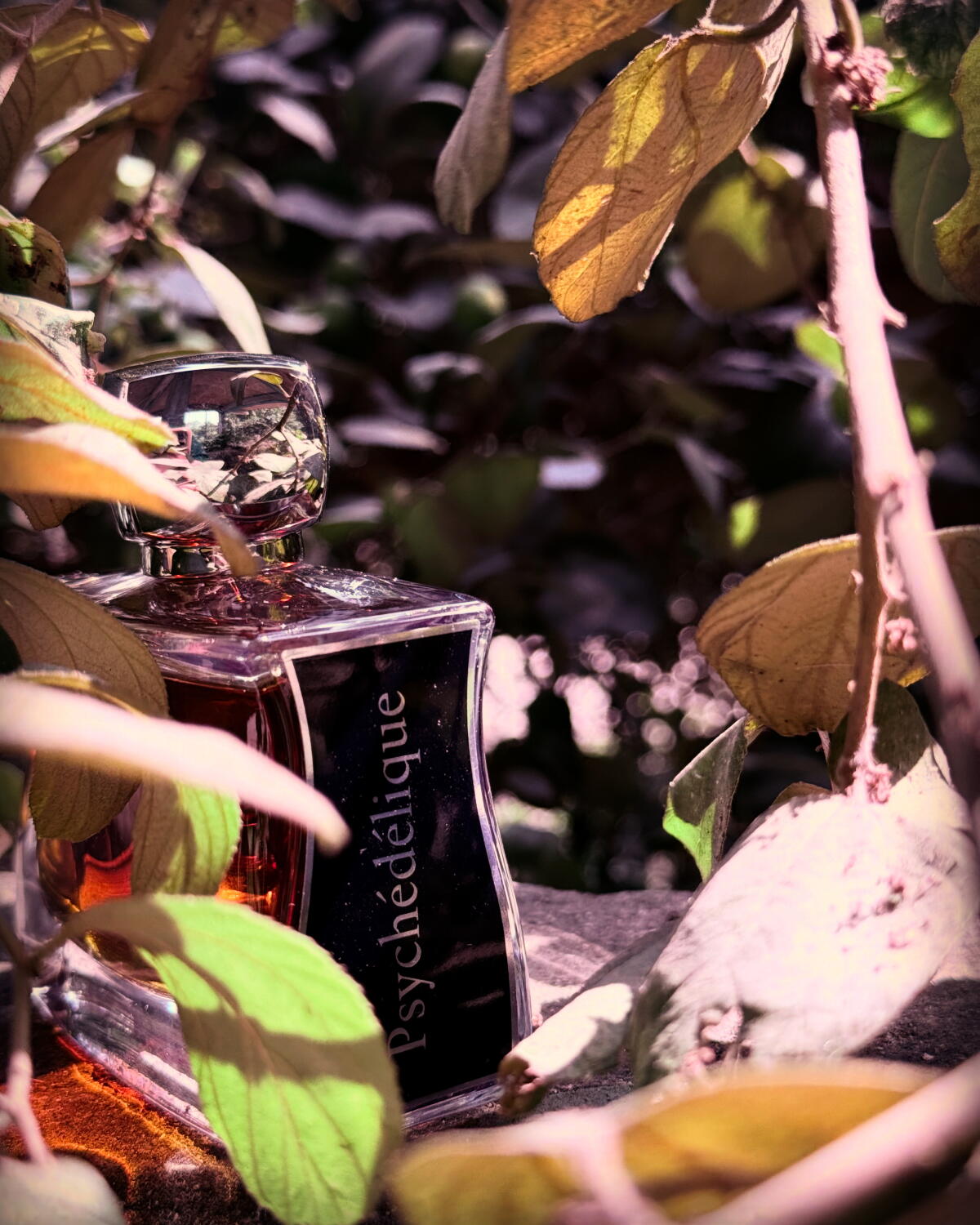 تصویر عطر سایکدلیک ژووی پاریس