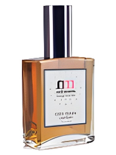 تصویر عطر سیتی رِین نیل موریس