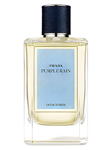 تصویر عطر پرپل رین پرادا