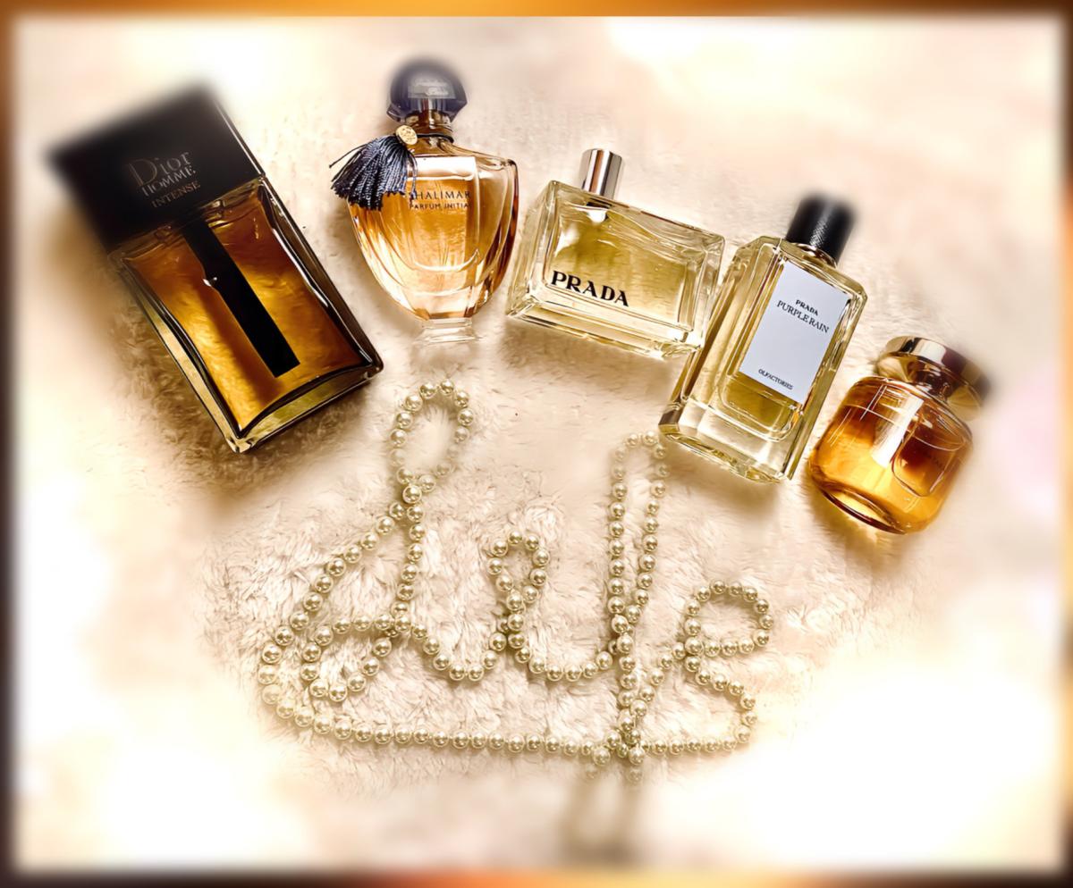تصویر عطر پرپل رین پرادا