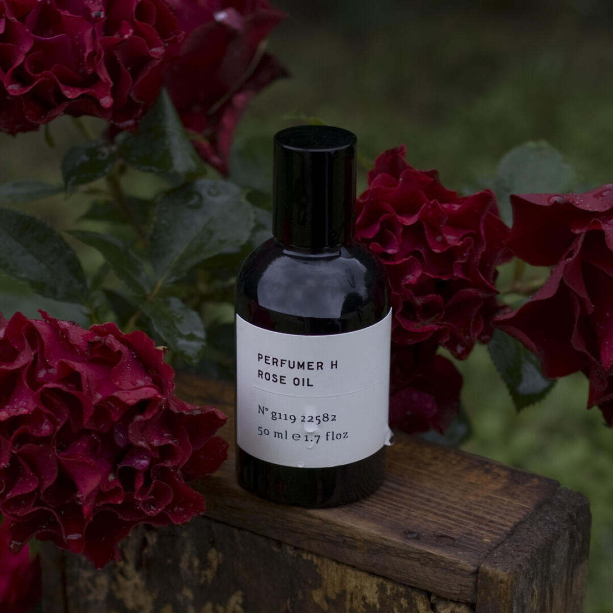 تصویر عطر رُز پرفیومر اچ
