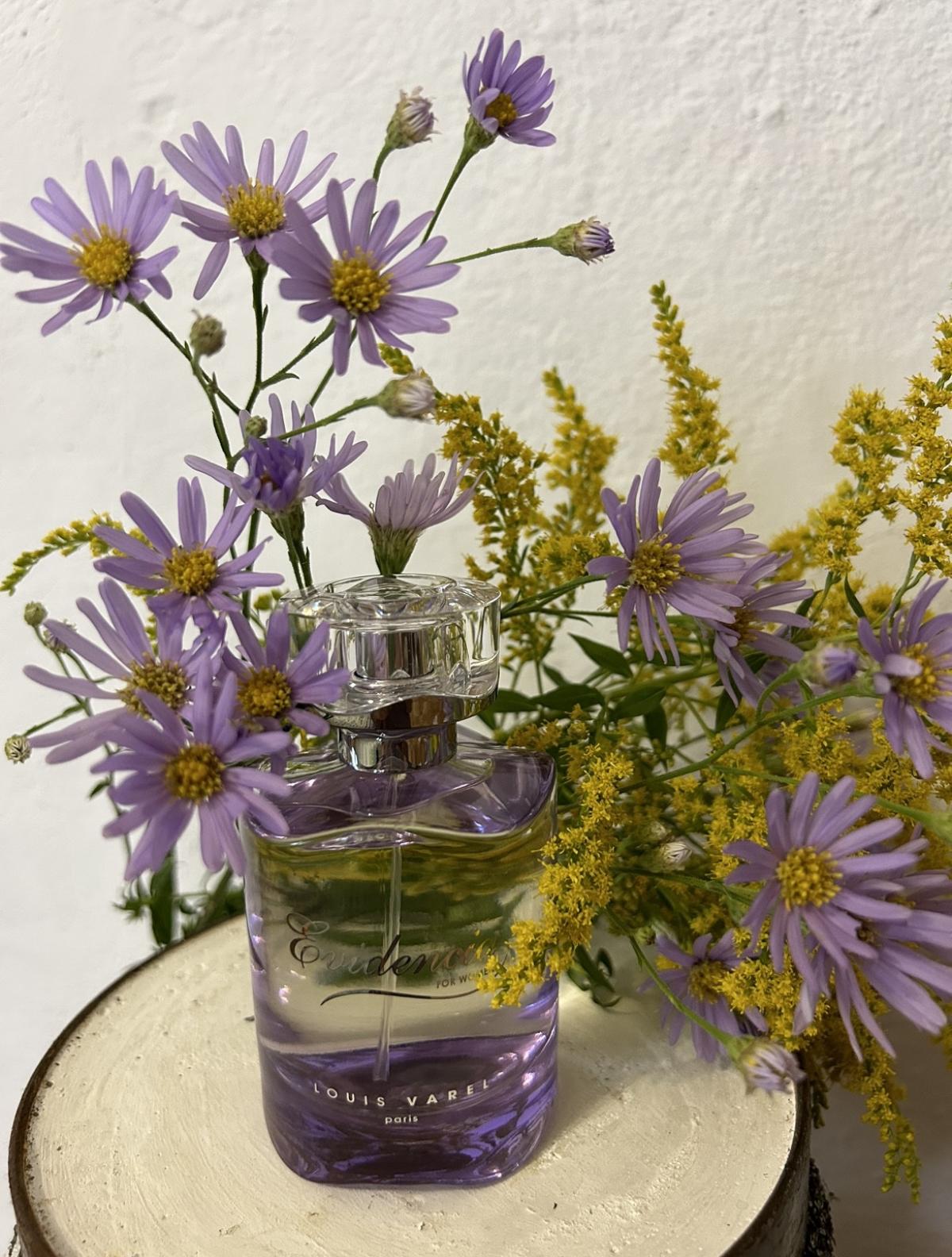 تصویر عطر اویدنسیا لویی وارل