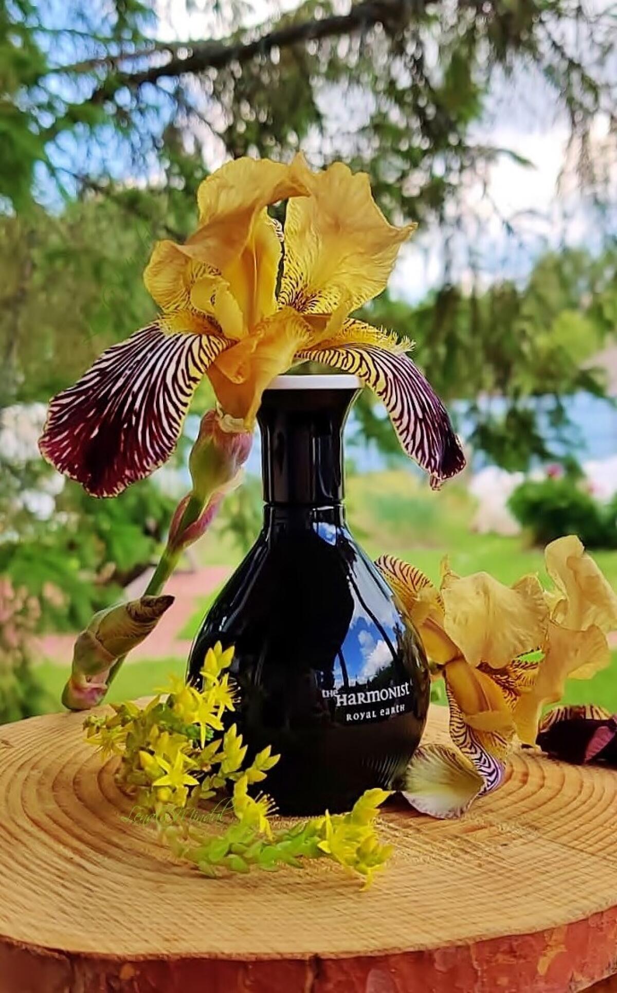تصویر عطر رویال ارث او دو پرفیوم دِ هارمونیست