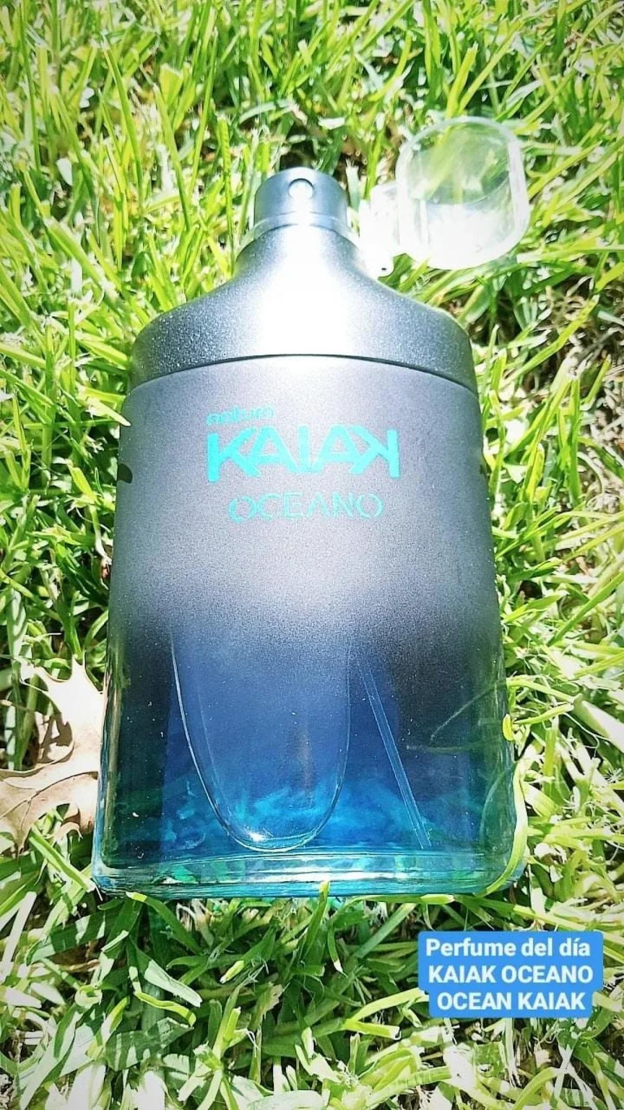 تصویر عطر کایاک اقیانو ناتورا