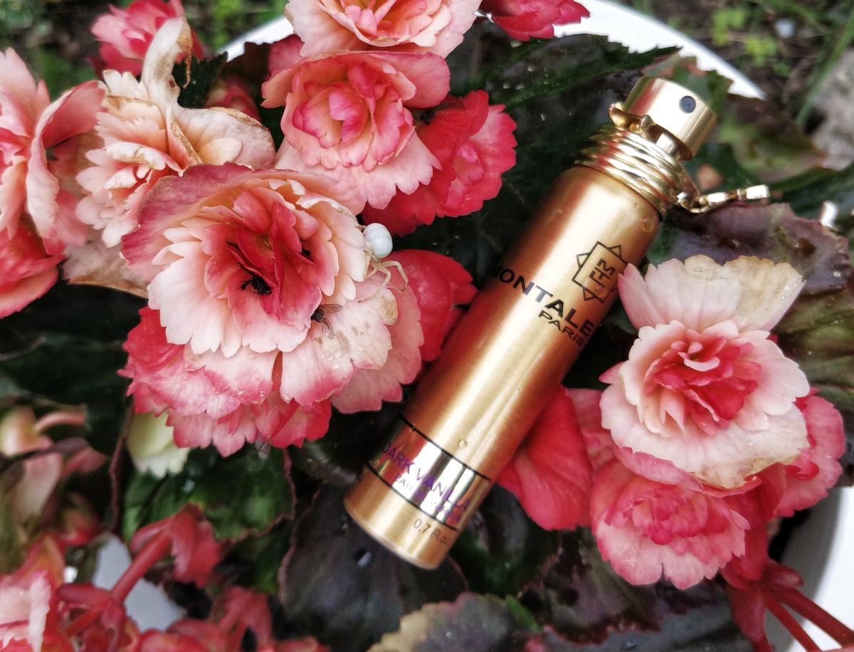 تصویر عطر دارک وانیلا مونتال