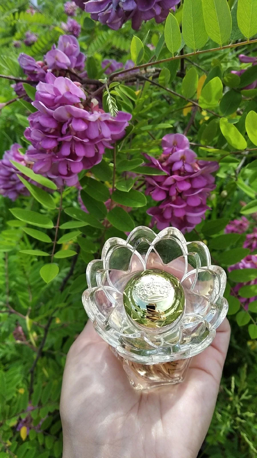 تصویر عطر رویال استایل پرنسس مارینا دو بوربون