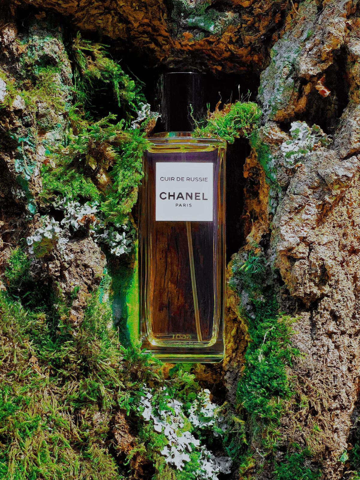 تصویر عطر کویغ د رسی او د پغفم شنل