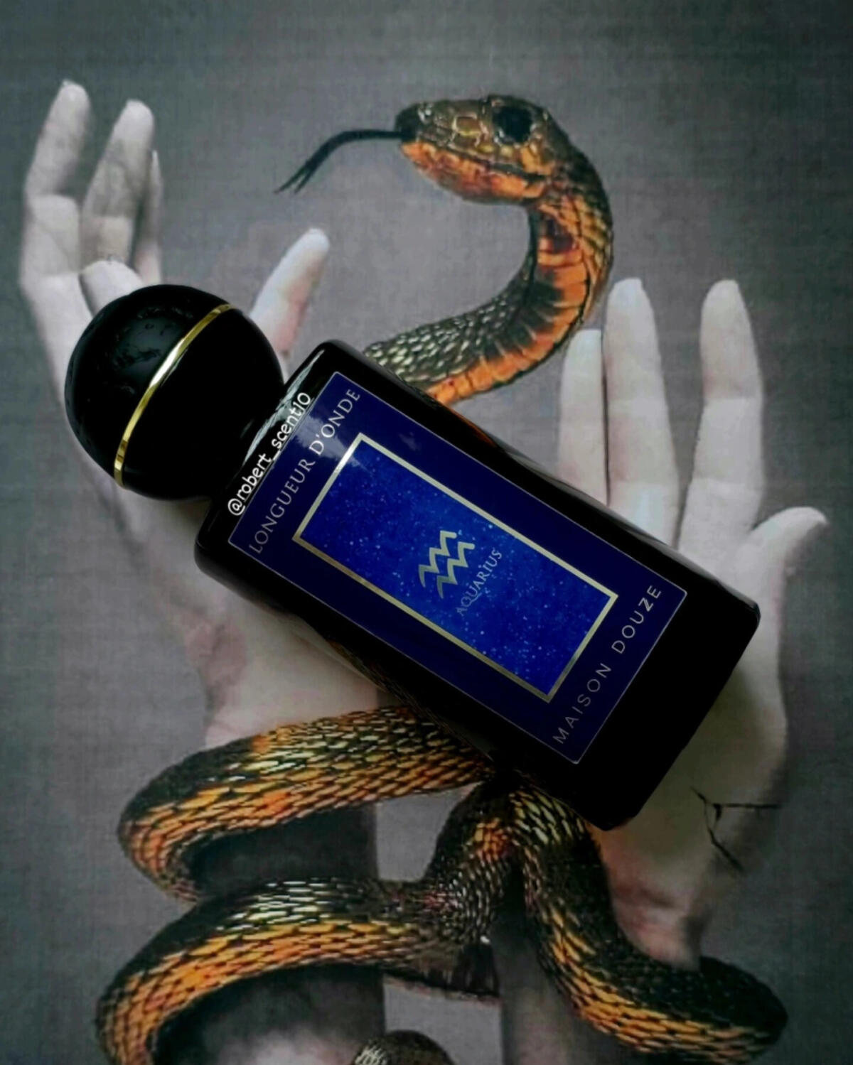 تصویر عطر لونگور دونده آکواروس مزون دوز