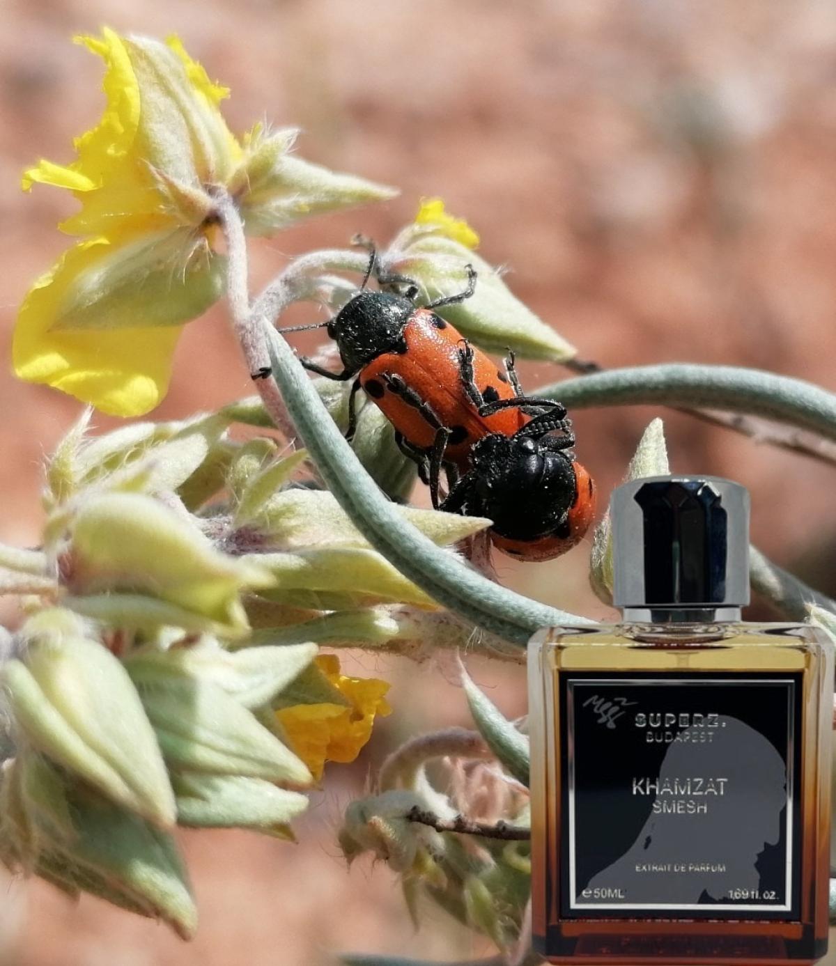 تصویر عطر اسماش سوپرز