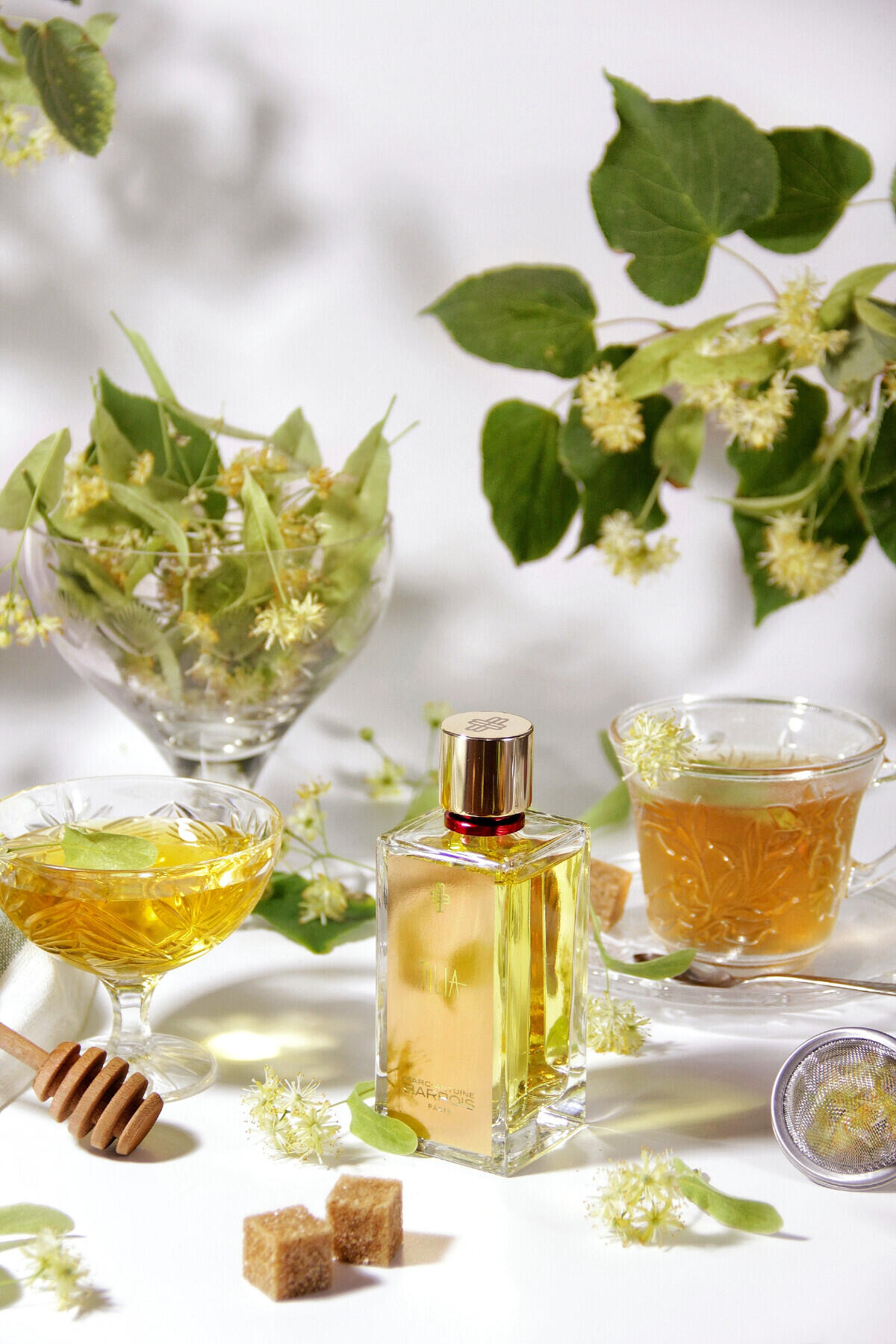 تصویر عطر تیلیا مارک‌آنتوان باروا