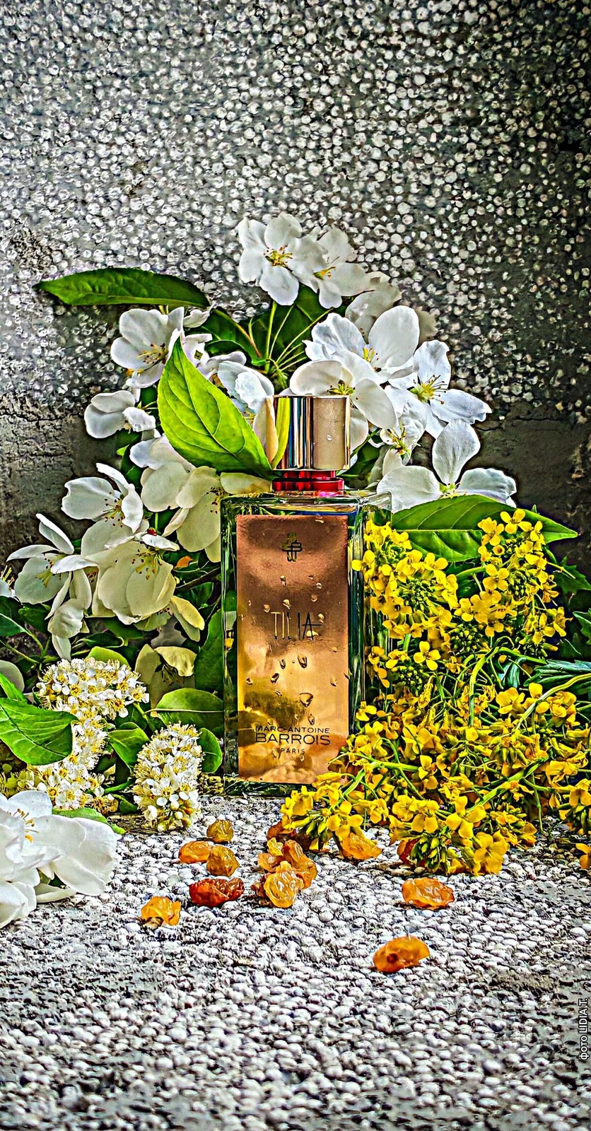 تصویر عطر تیلیا مارک‌آنتوان باروا