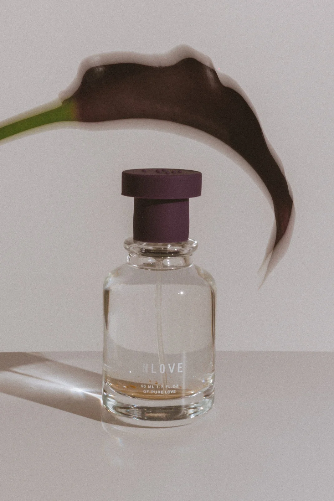 تصویر عطر این لاو پیور سنس