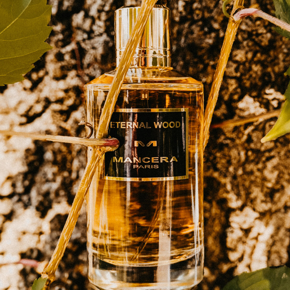 تصویر عطر ایتـِرنال وود مانسرا