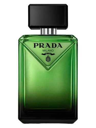 تصویر عطر پاردایم پرادا