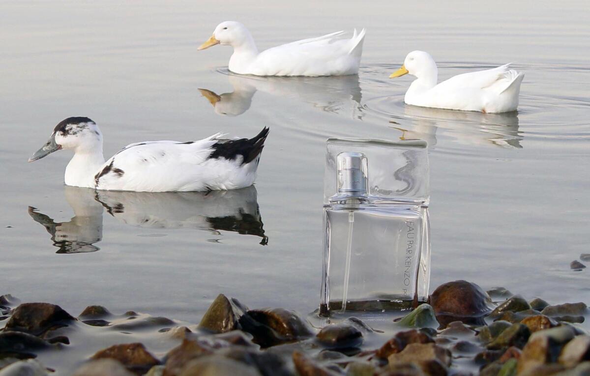 تصویر عطر لو پار کنزو پور هوم