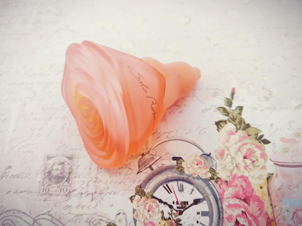 تصویر عطر سولو رزا لوچانو سوپرانی