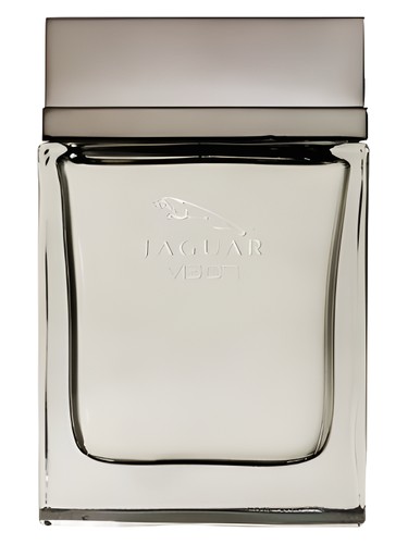 تصویر عطر جگوار ویژن