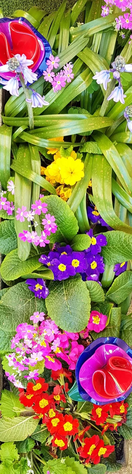 تصویر عطر اوه لولا! مارک جیکوبز