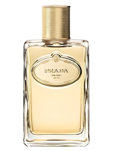 تصویر عطر اینفیوژن دی آیریس او دو پارفوم ابسولو پرادا