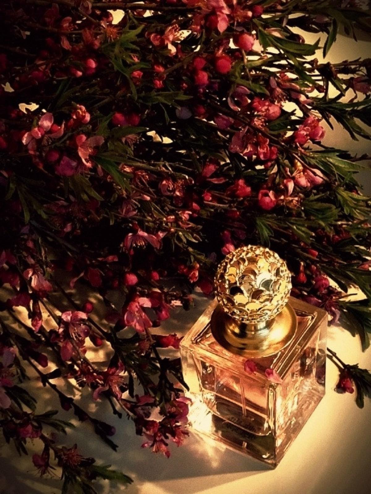 تصویر عطر پَرادایِس اوریفلیم
