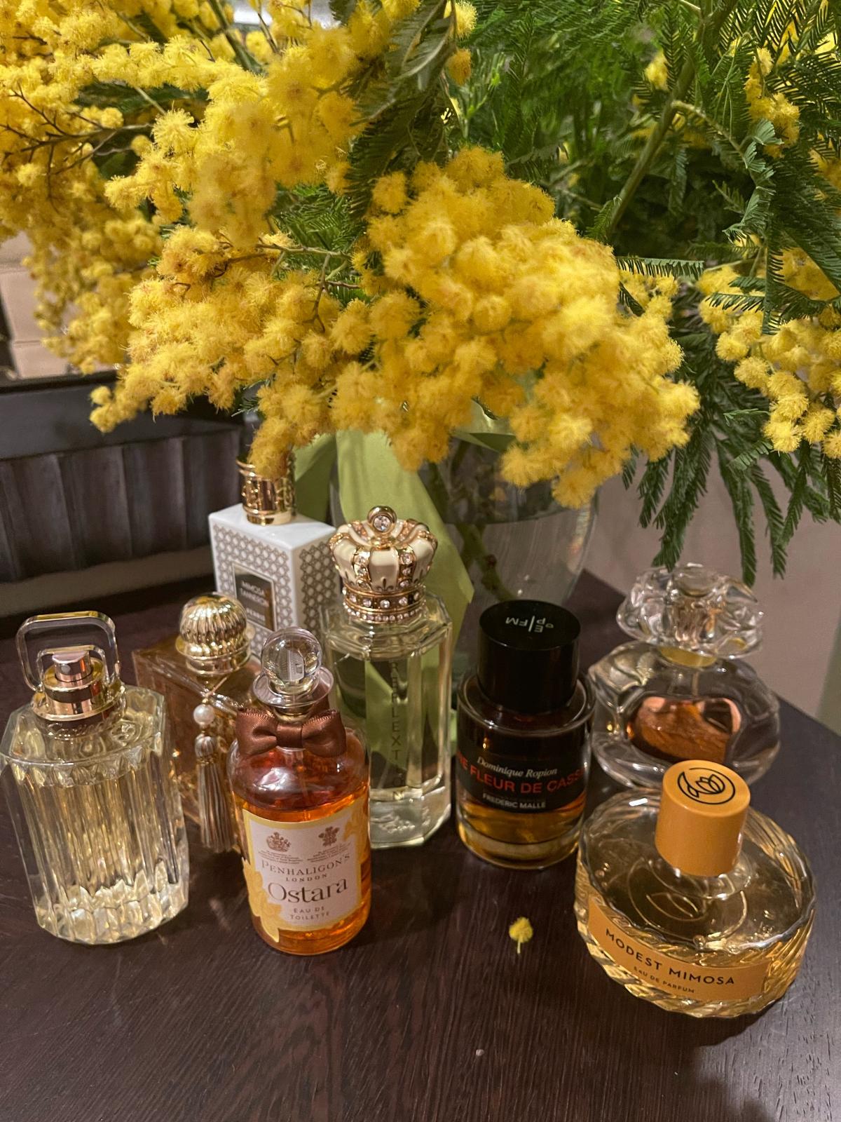 تصویر عطر ریفلکشن رویال کراون