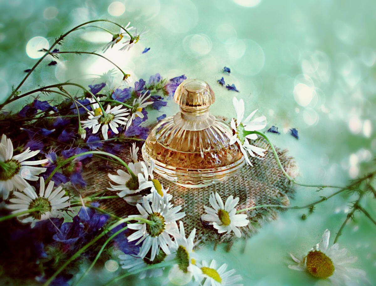 تصویر عطر پری سوان اوریفلیم
