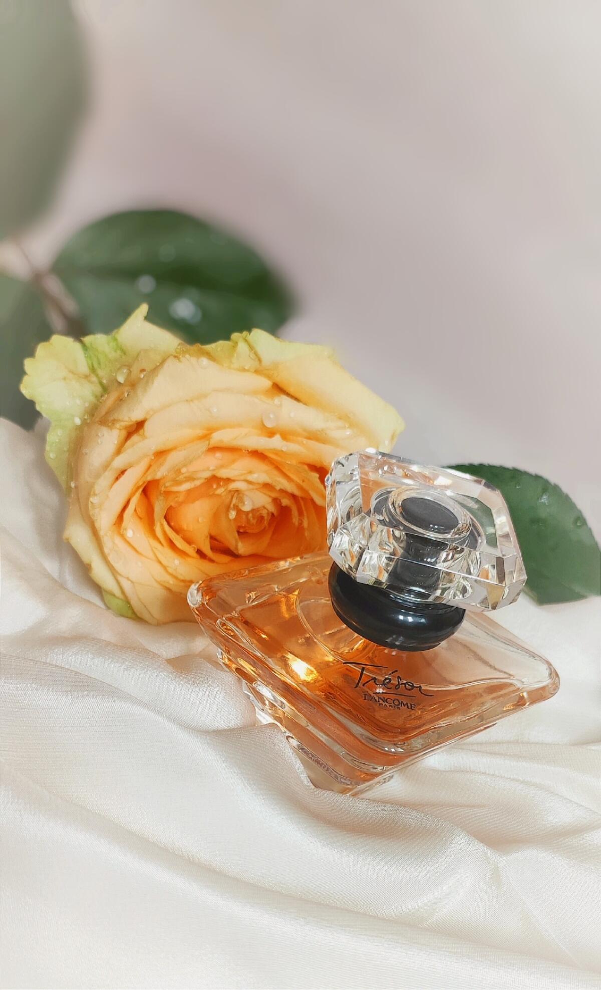 تصویر عطر ترزور او دو پرفیوم لومینوس لانکوم