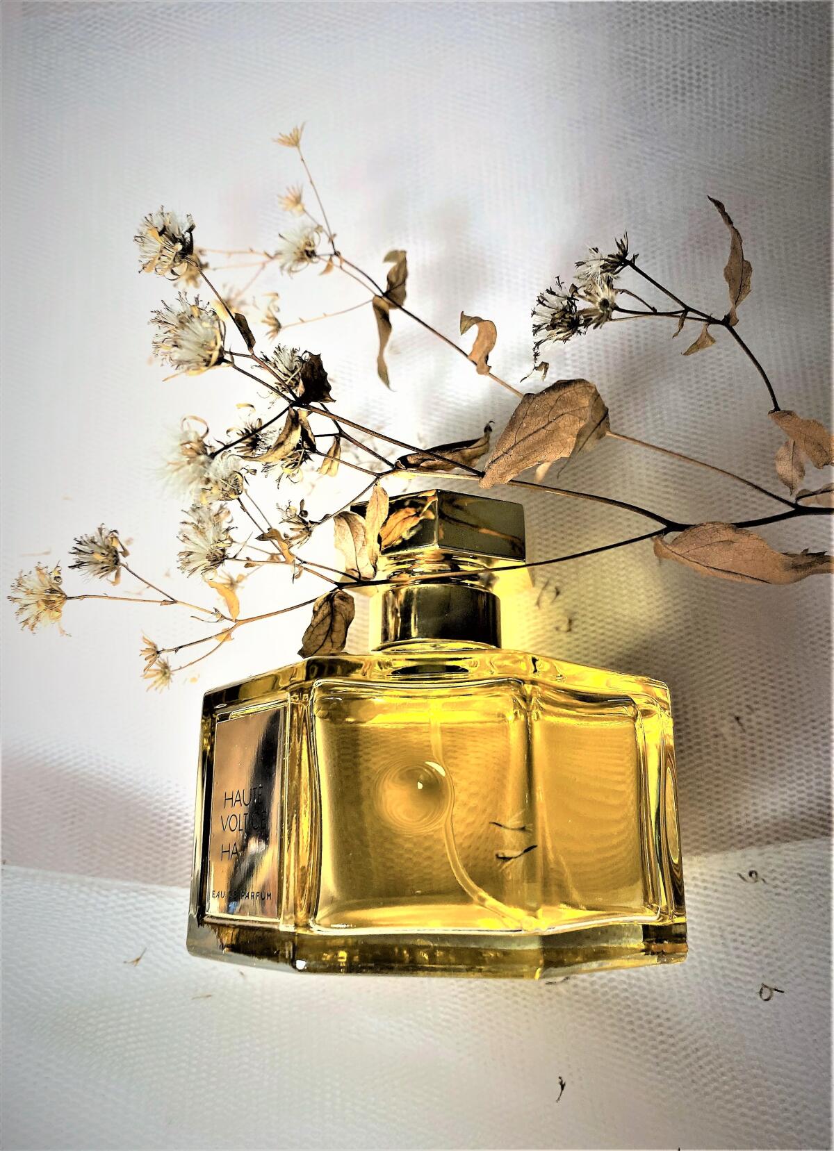 تصویر عطر هوت ولتیژ لارتیزان پرفیومر