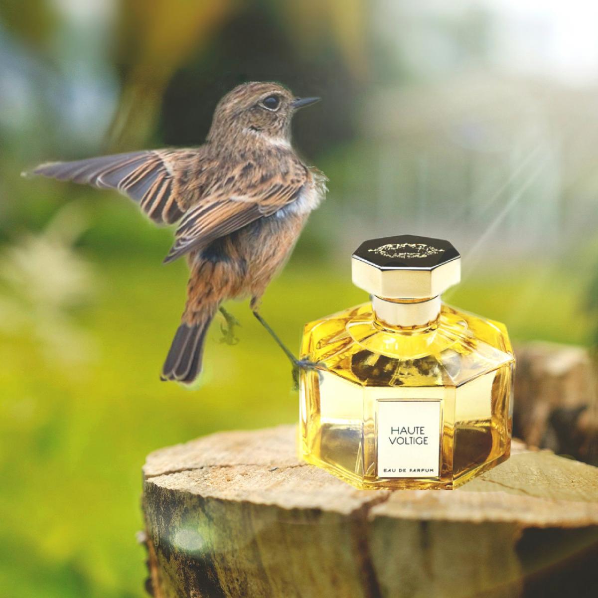 تصویر عطر هوت ولتیژ لارتیزان پرفیومر