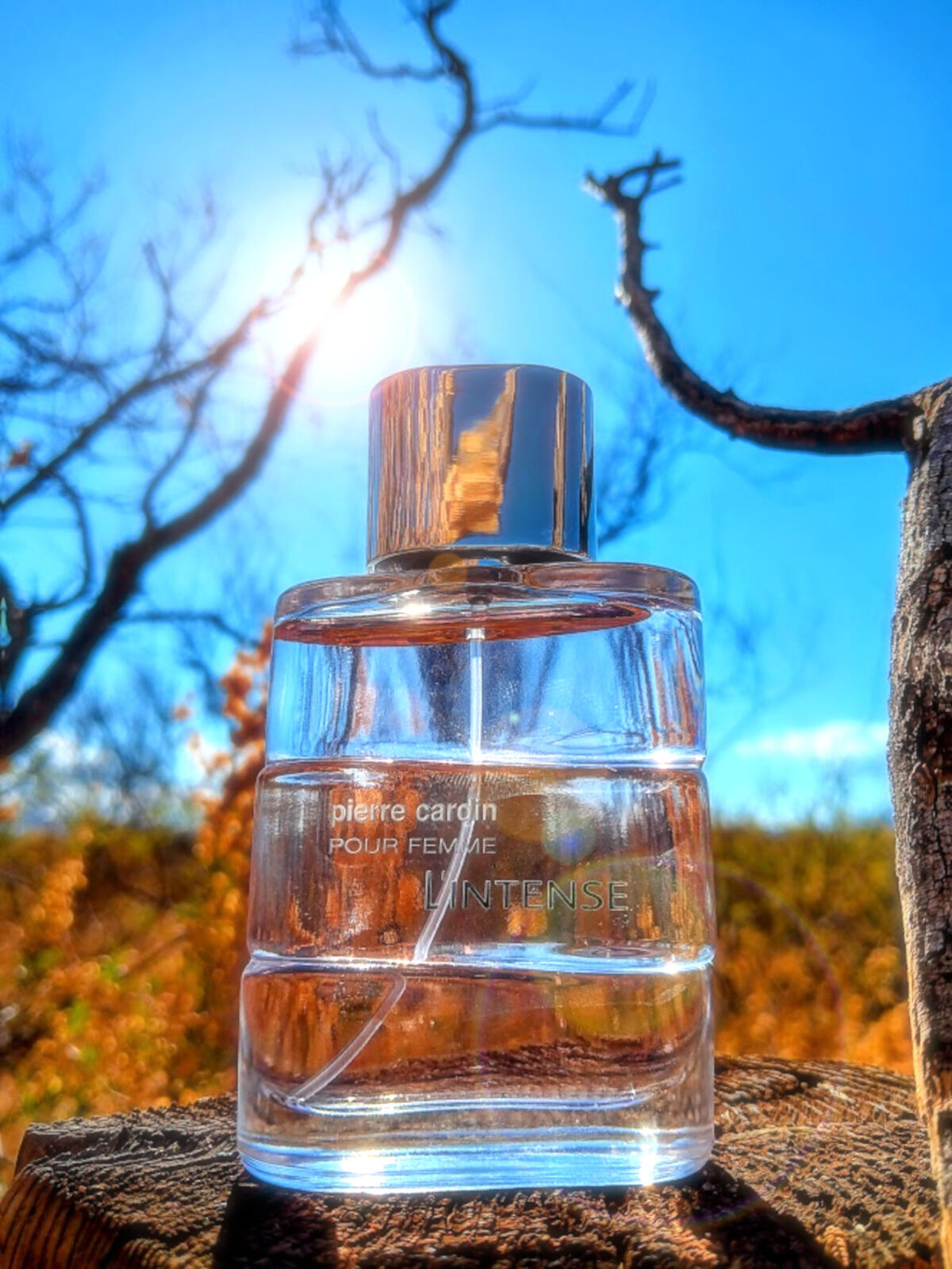 تصویر عطر پیِر کاردَن پور فم لِ اینتنس پیر کاردین