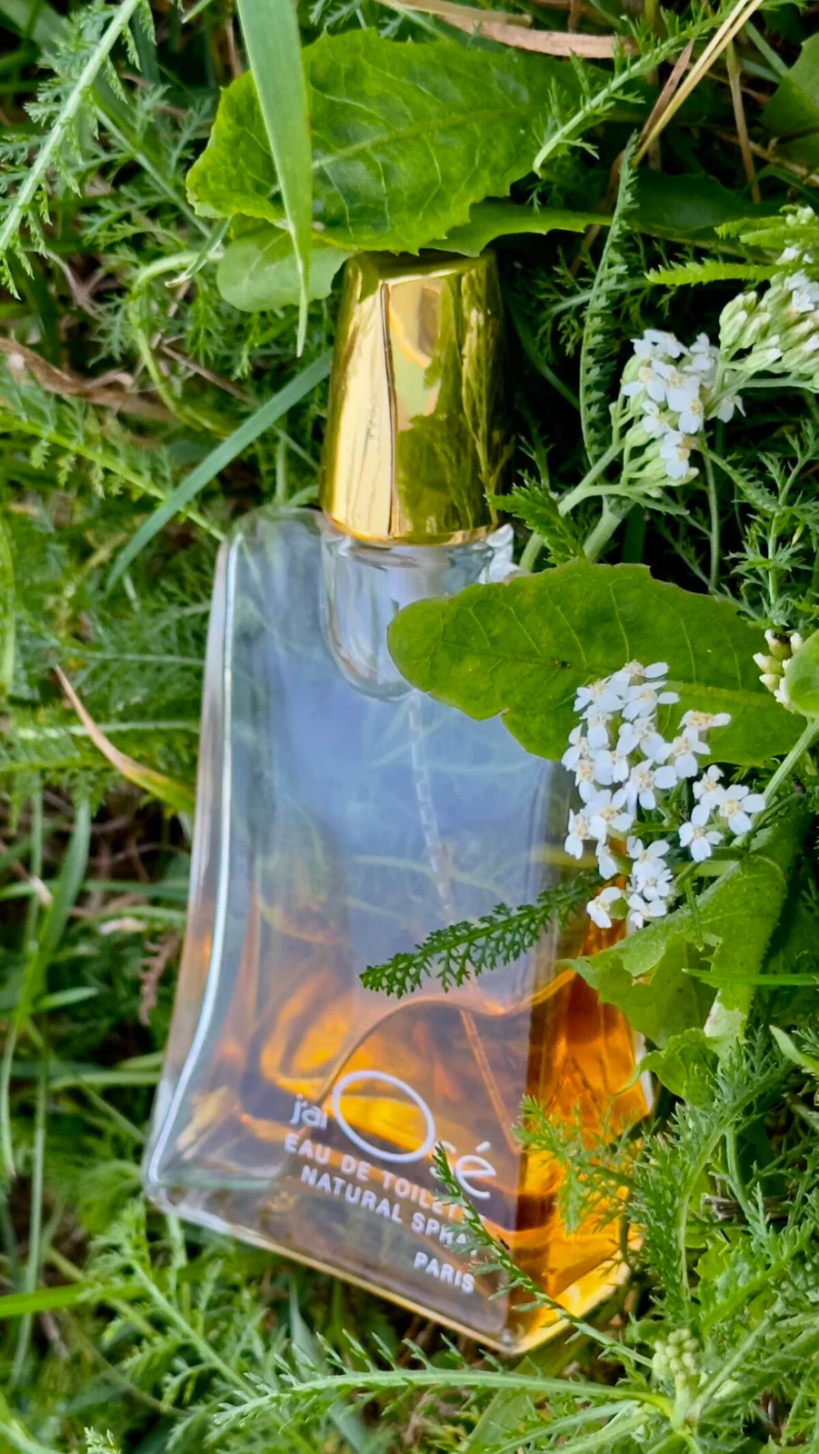 تصویر عطر ژئوزه پرفیومز ژه اوزه