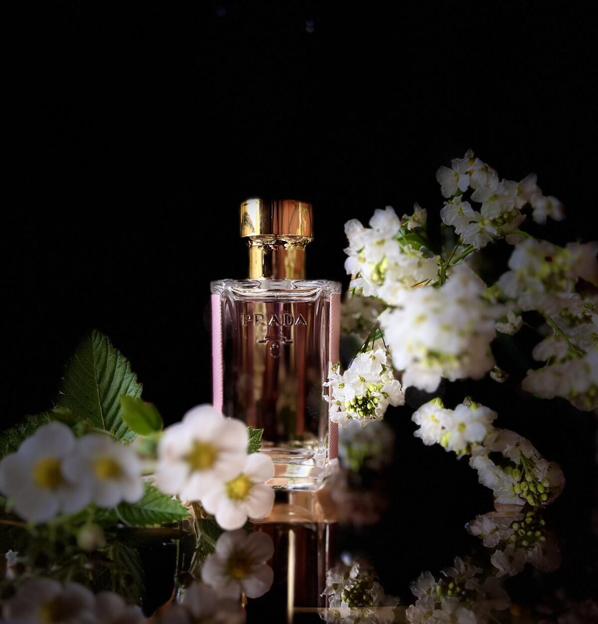 تصویر عطر پرادا لا فم