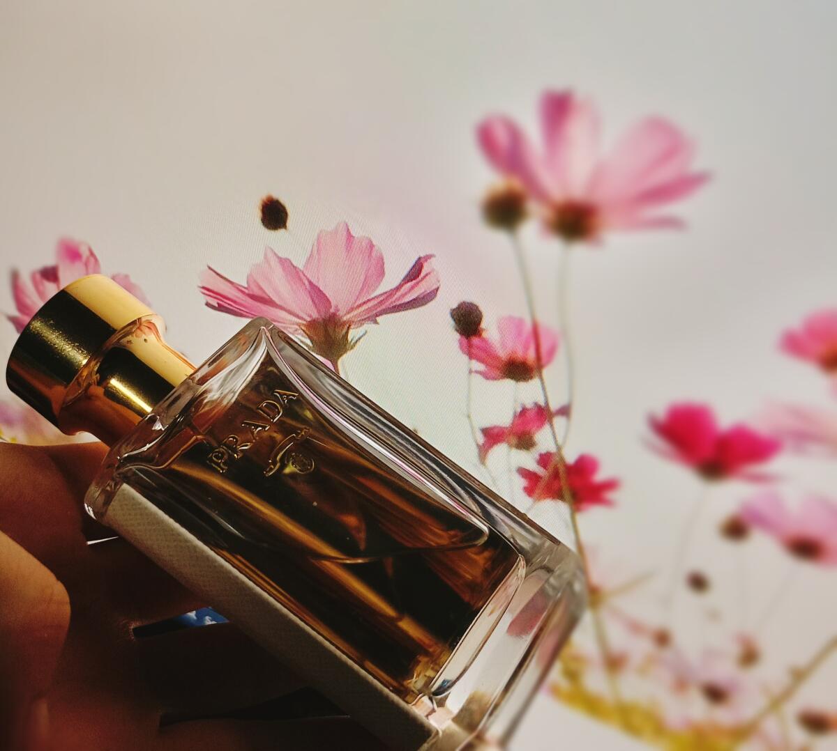 تصویر عطر پرادا لا فم