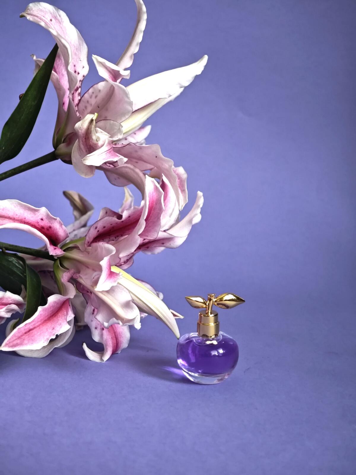 تصویر عطر لونا بلاسم نینا ریچی