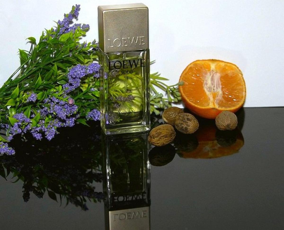 تصویر عطر سولو لووِه اسِنشال لوئوه