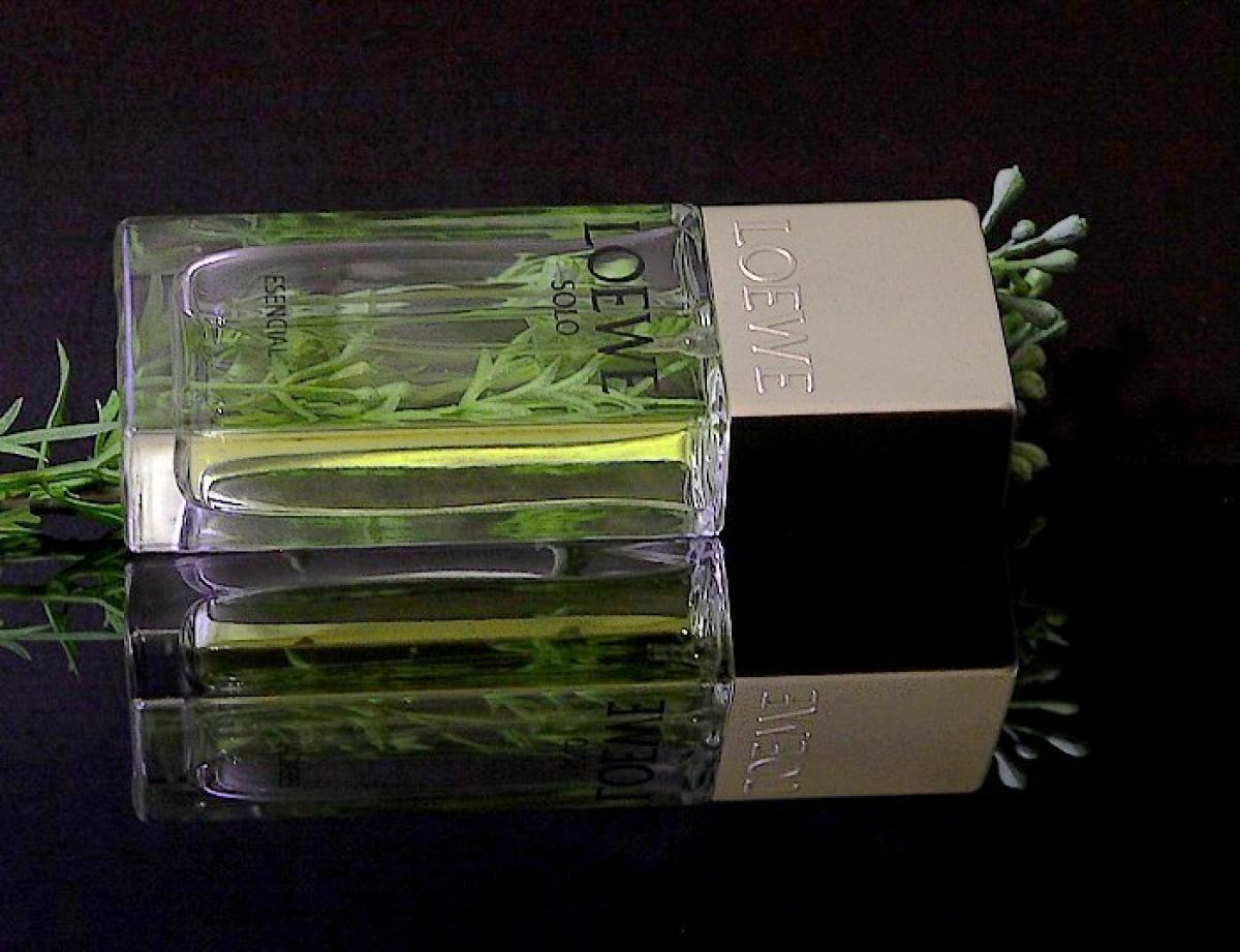 تصویر عطر سولو لووِه اسِنشال لوئوه