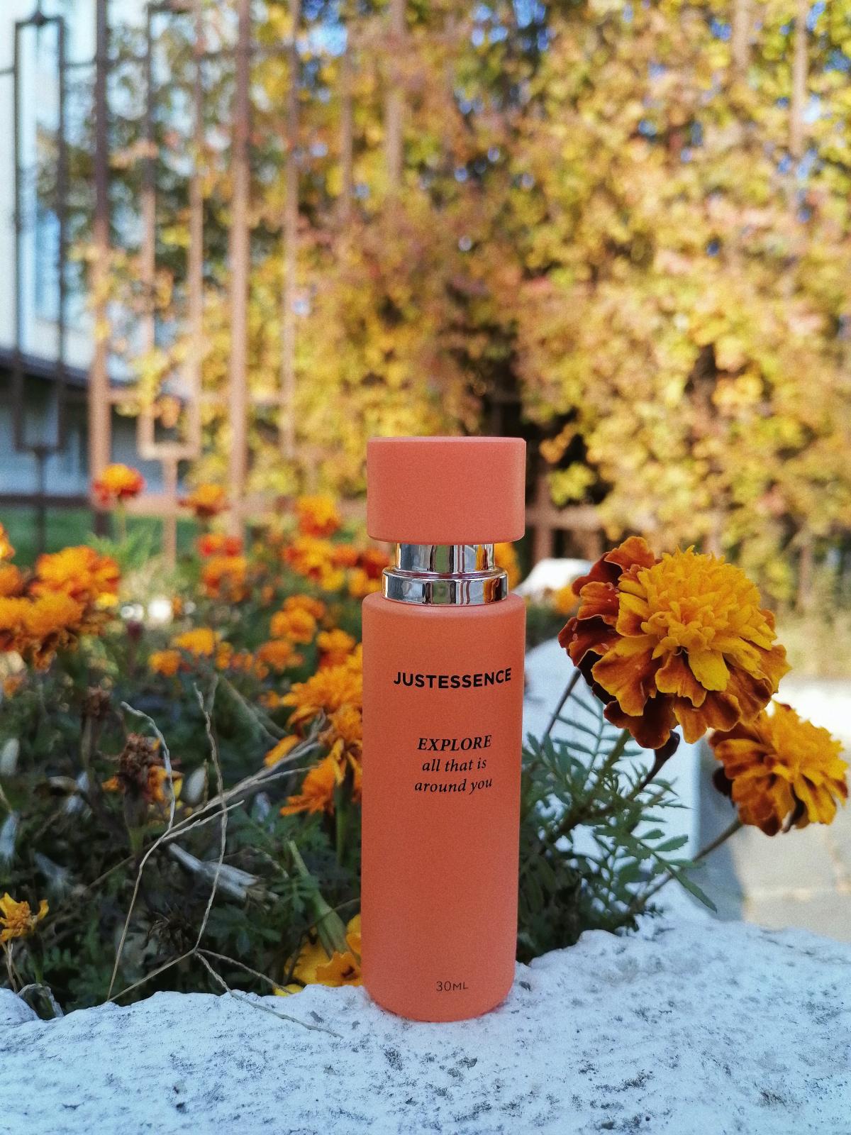 تصویر عطر اکسپلور آل دت ایز اراند یو پرفیومز جنتی