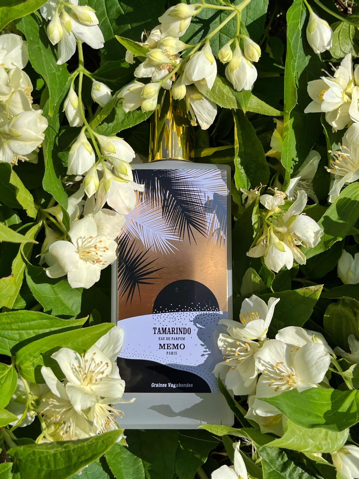 تصویر عطر تاماریندو ممو پاریس