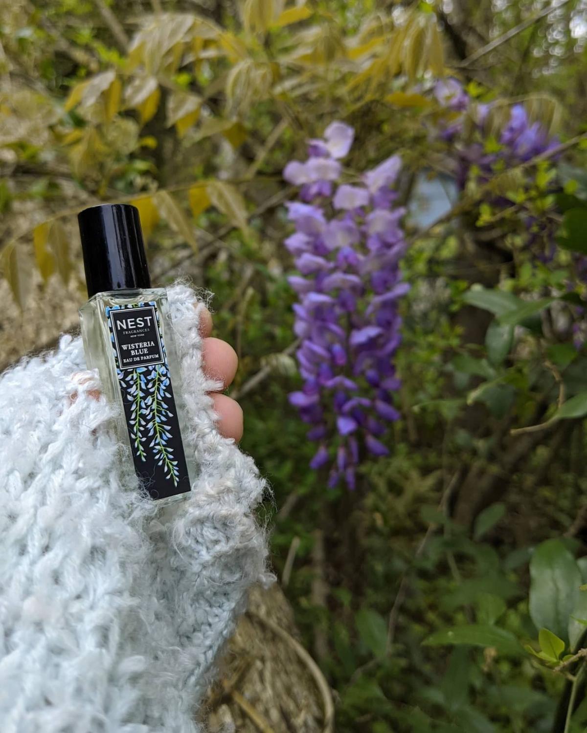 تصویر عطر ویستریا بلو نِست