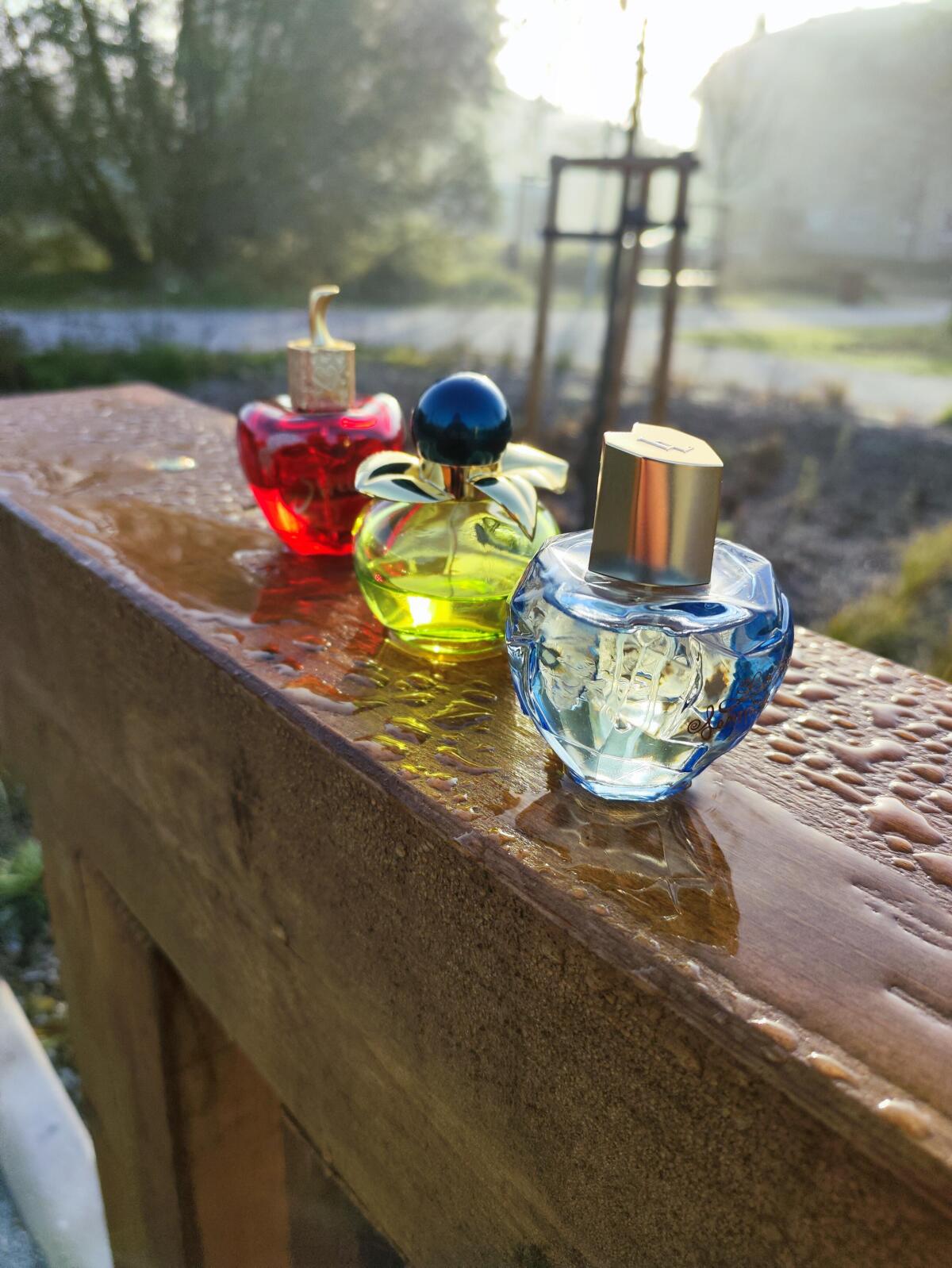 تصویر عطر بلا نینا ریچی